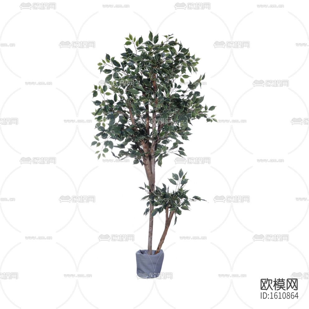 現(xiàn)代綠植盆栽下載