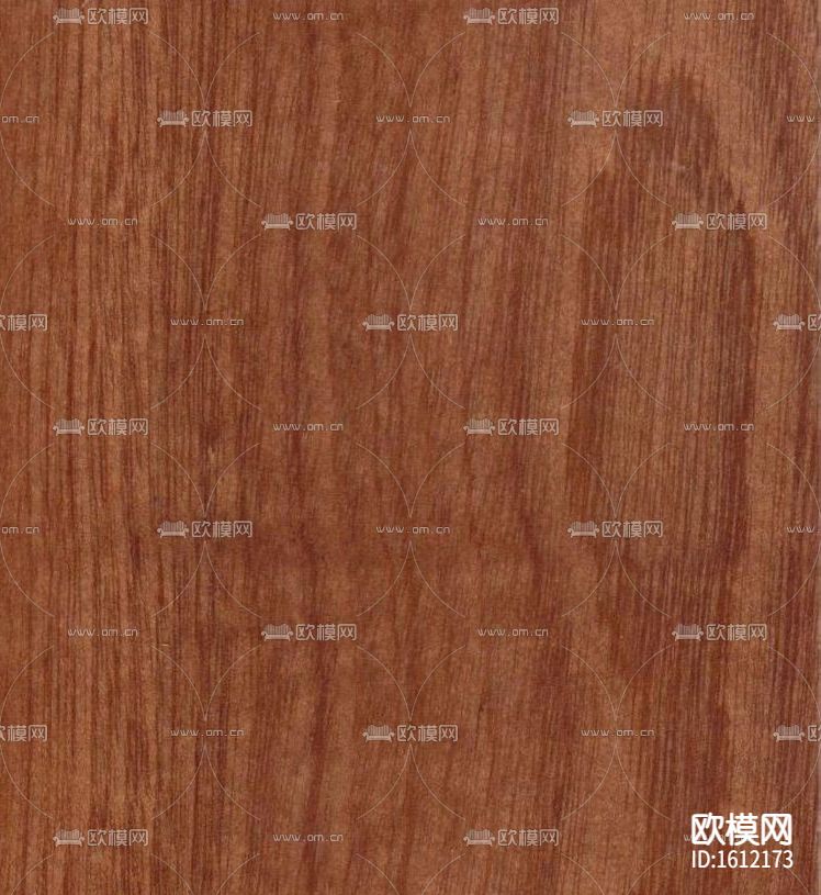 沙比利（山纹）下载