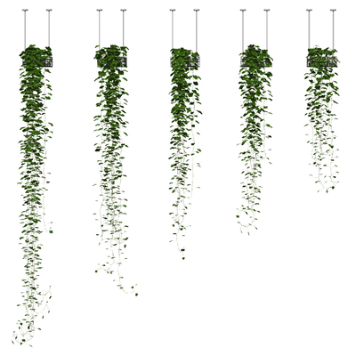  现代植物藤蔓su模型 