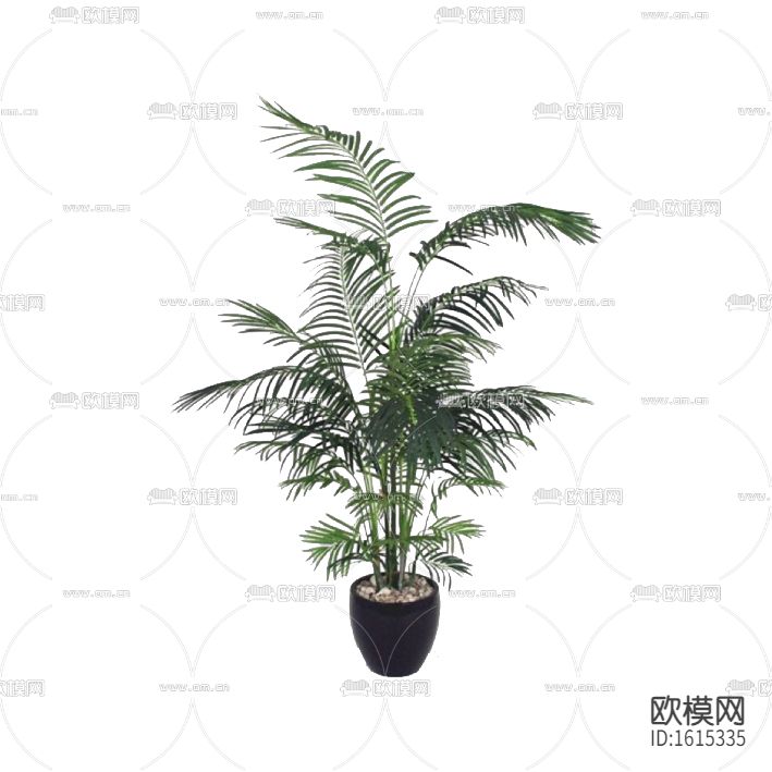 现代简约绿植盆栽下载