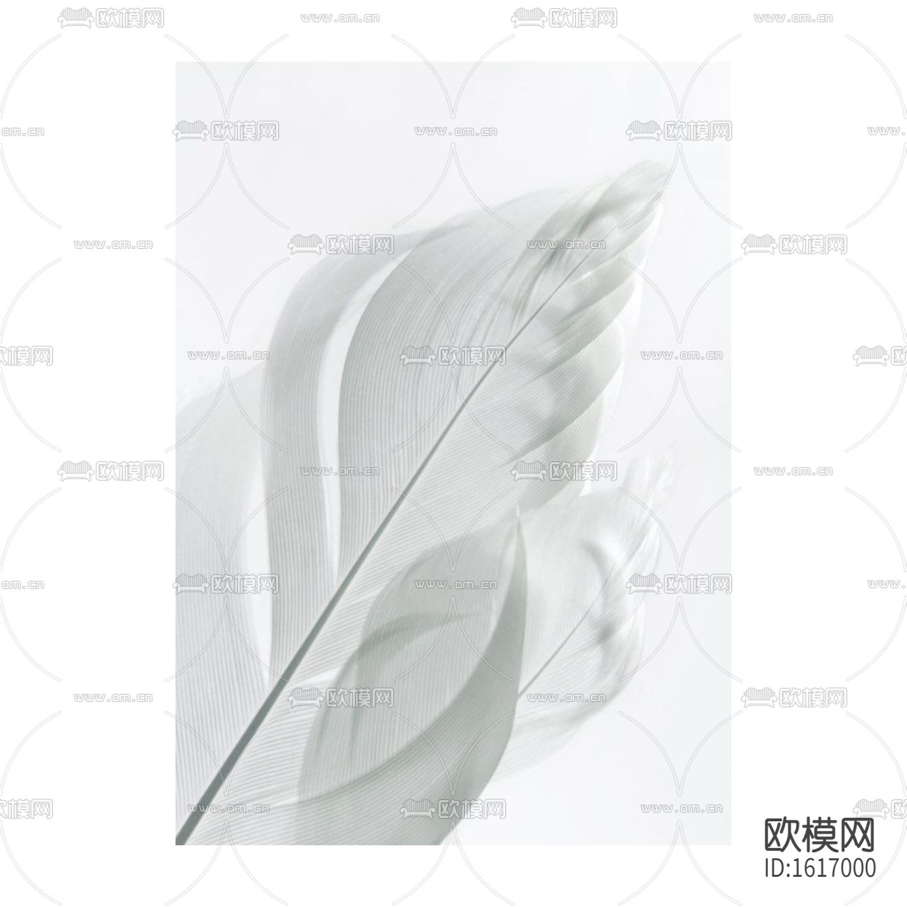 北欧简约羽毛装饰画