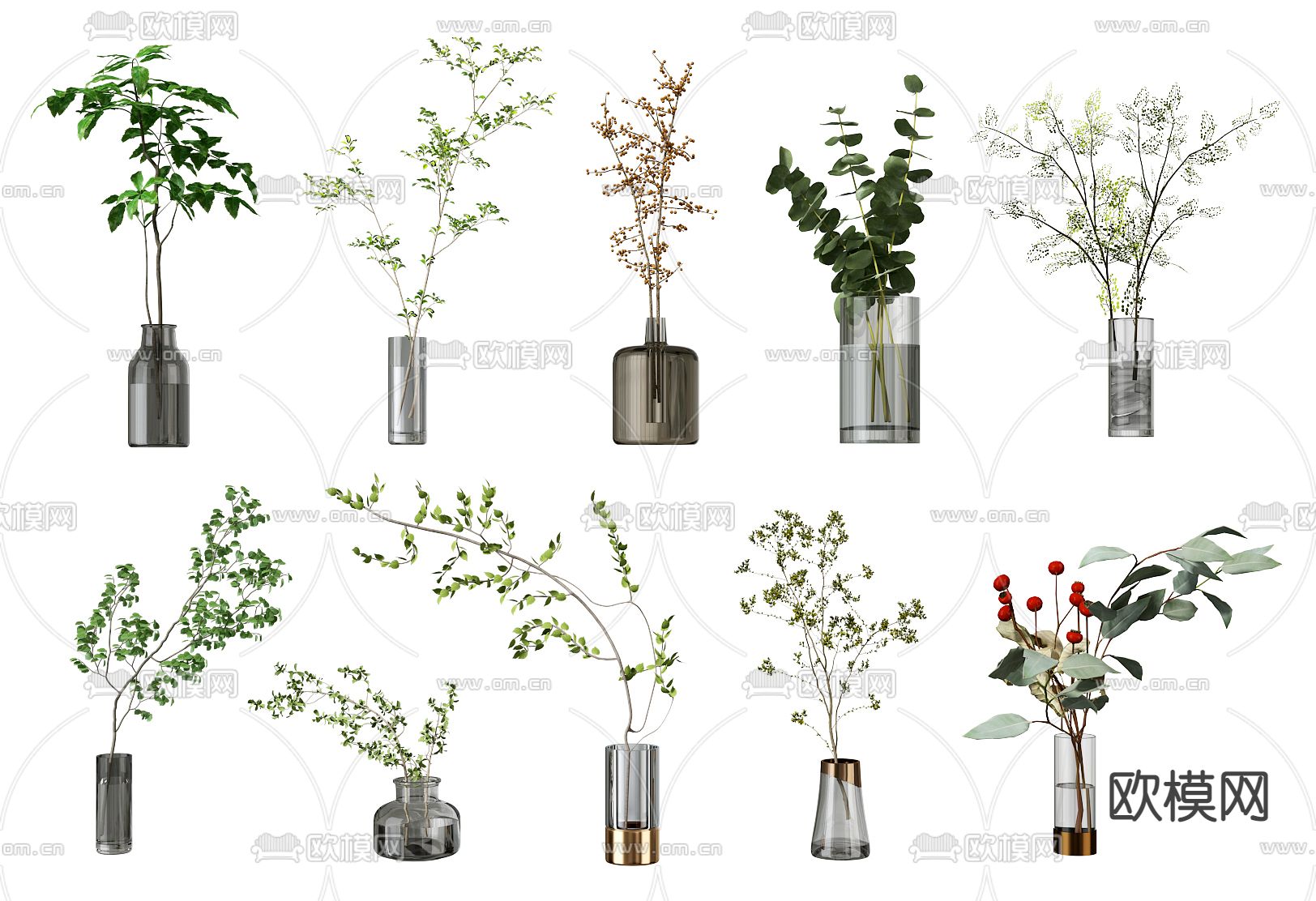 现代玻璃花瓶水生绿植3d模型下载