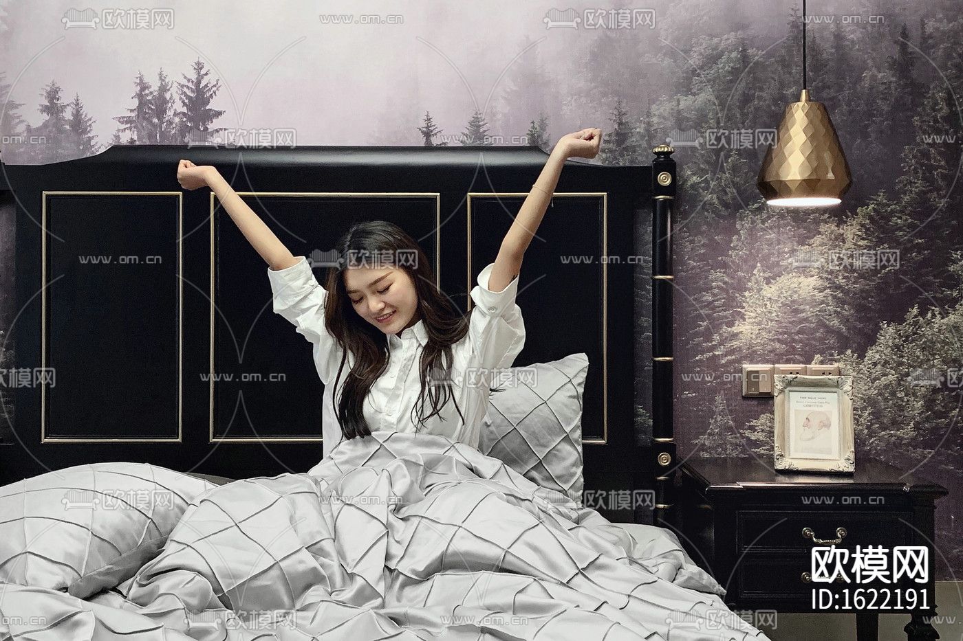 法式复式住宅实景照片+施工图下载（渲染图10）