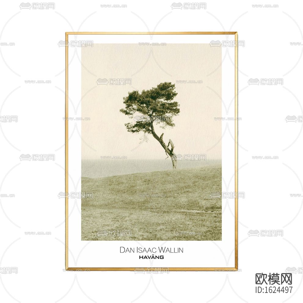 北欧简约大树摄影下载