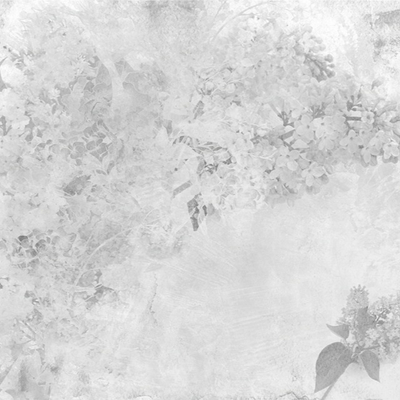  现代简约黑白花卉印花壁纸 