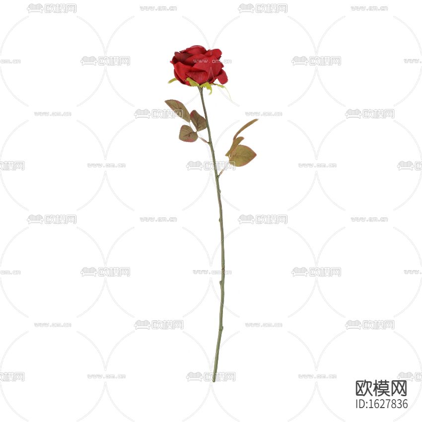 现代玫瑰花摆放花艺