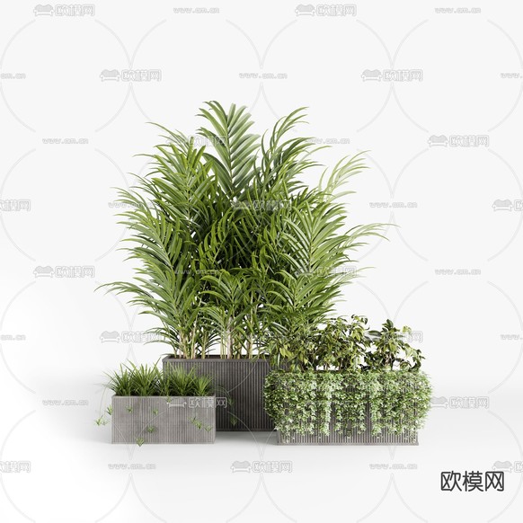 现代植物盆栽3d模型下载