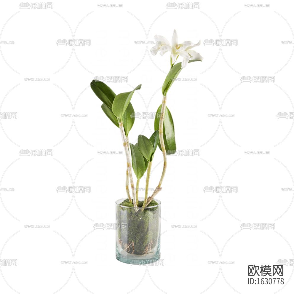 现代简约创意玻璃花瓶摆放花艺下载