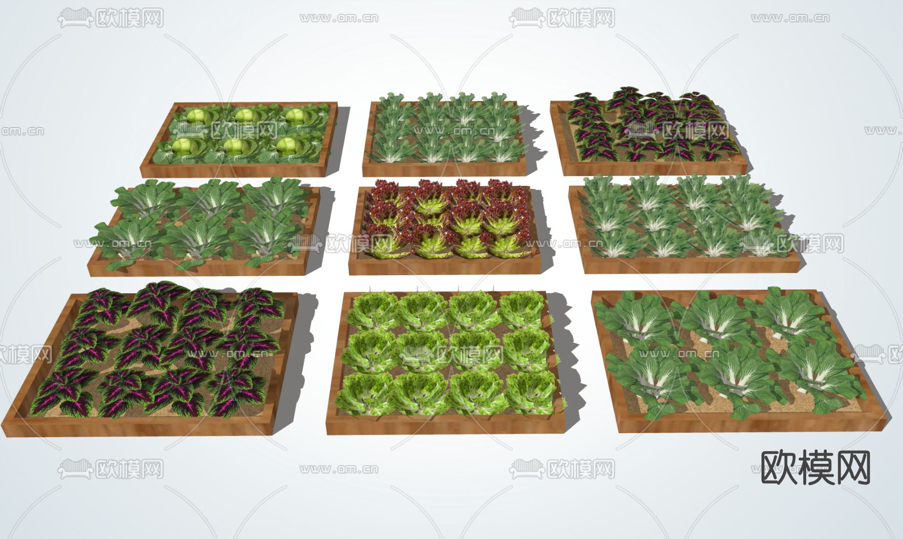 现代菜园菜地su模型下载（渲染图1）