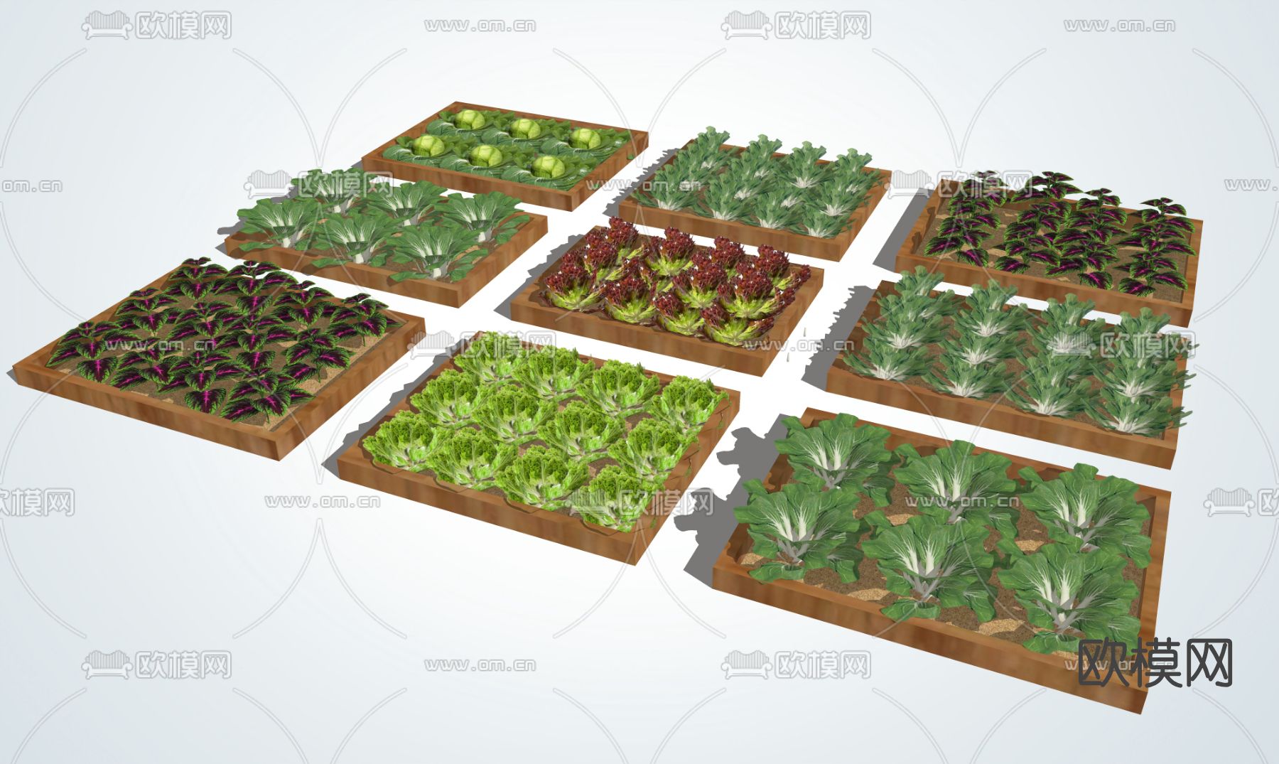 现代菜园菜地su模型下载（渲染图3）