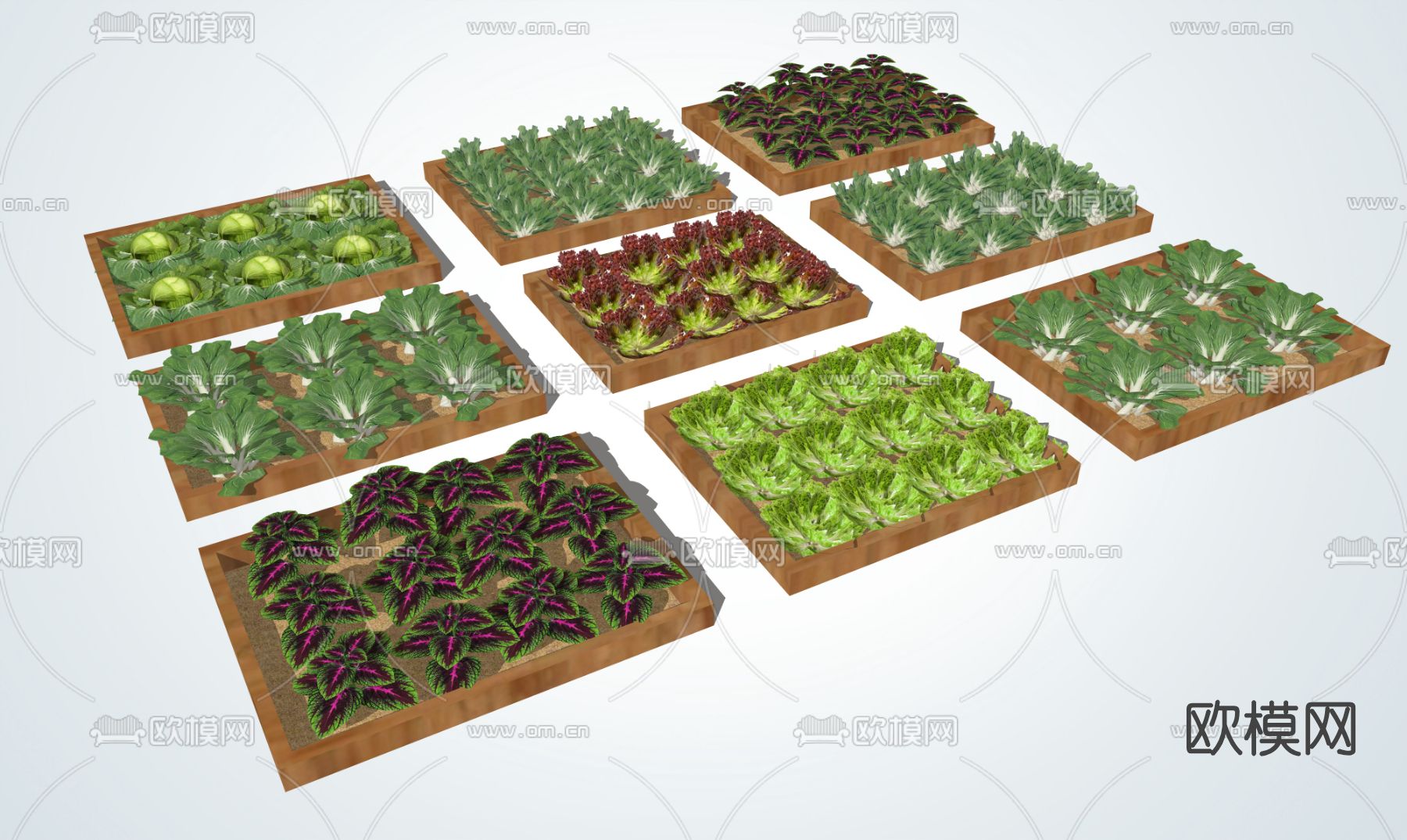 现代菜园菜地su模型下载（渲染图2）