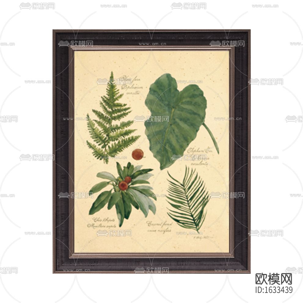 美式古典绿植装饰画
