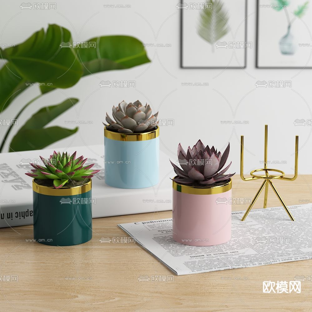 北欧多肉小盆栽3d模型下载（渲染图1）