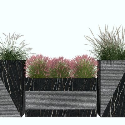  现代花草芦苇su模型 