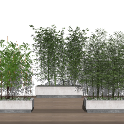  现代竹子盆栽su模型 