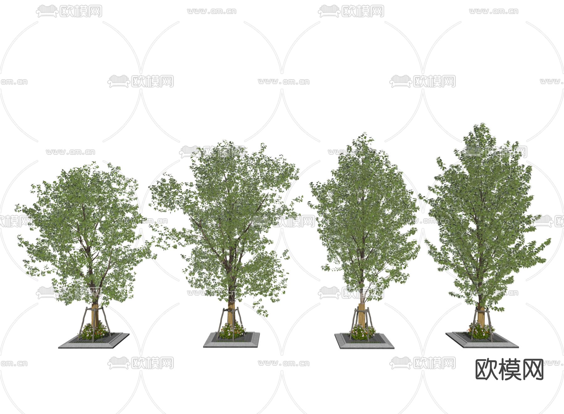 现代行道树景观树su模型下载