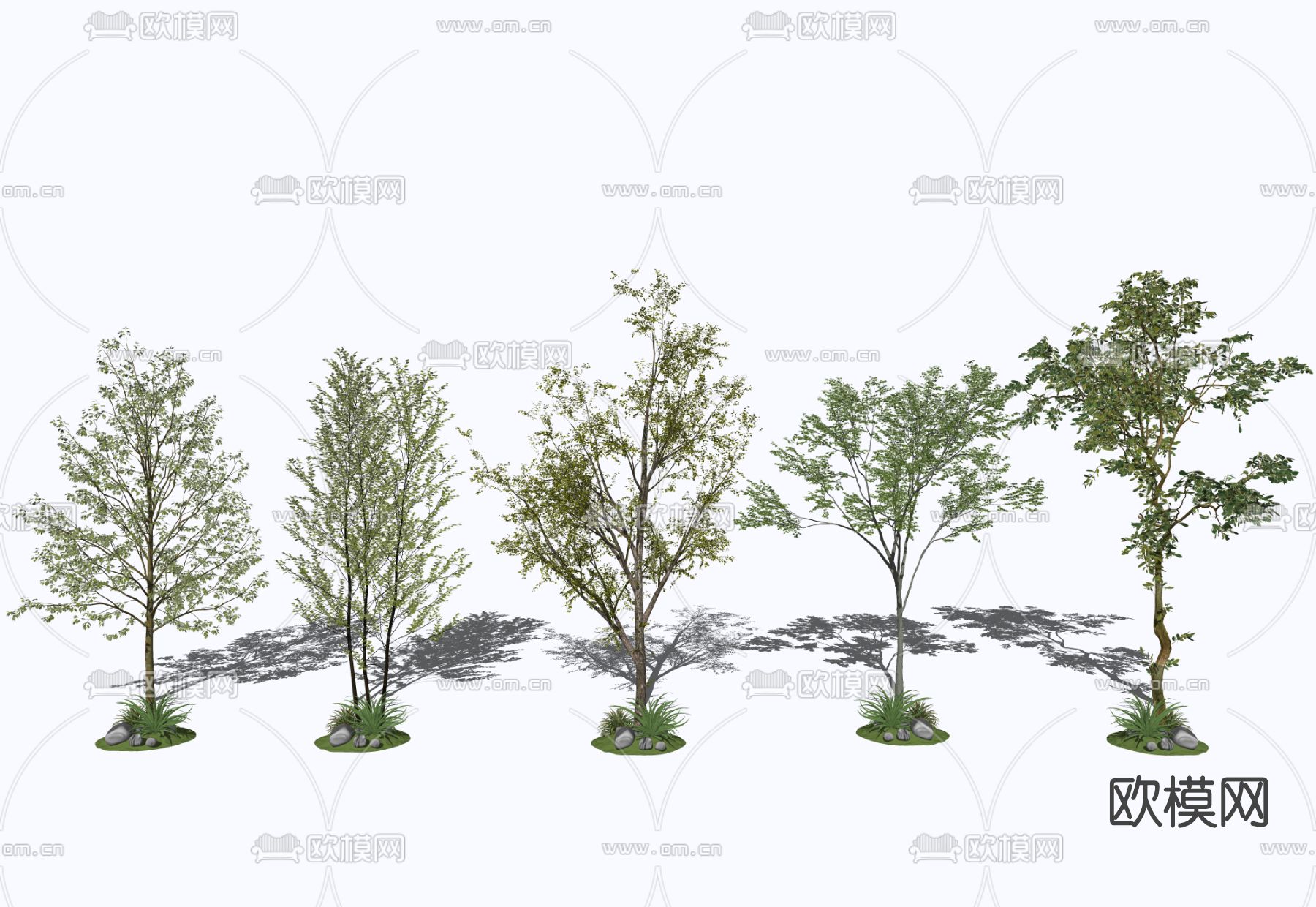 现代行道树景观树su模型下载
