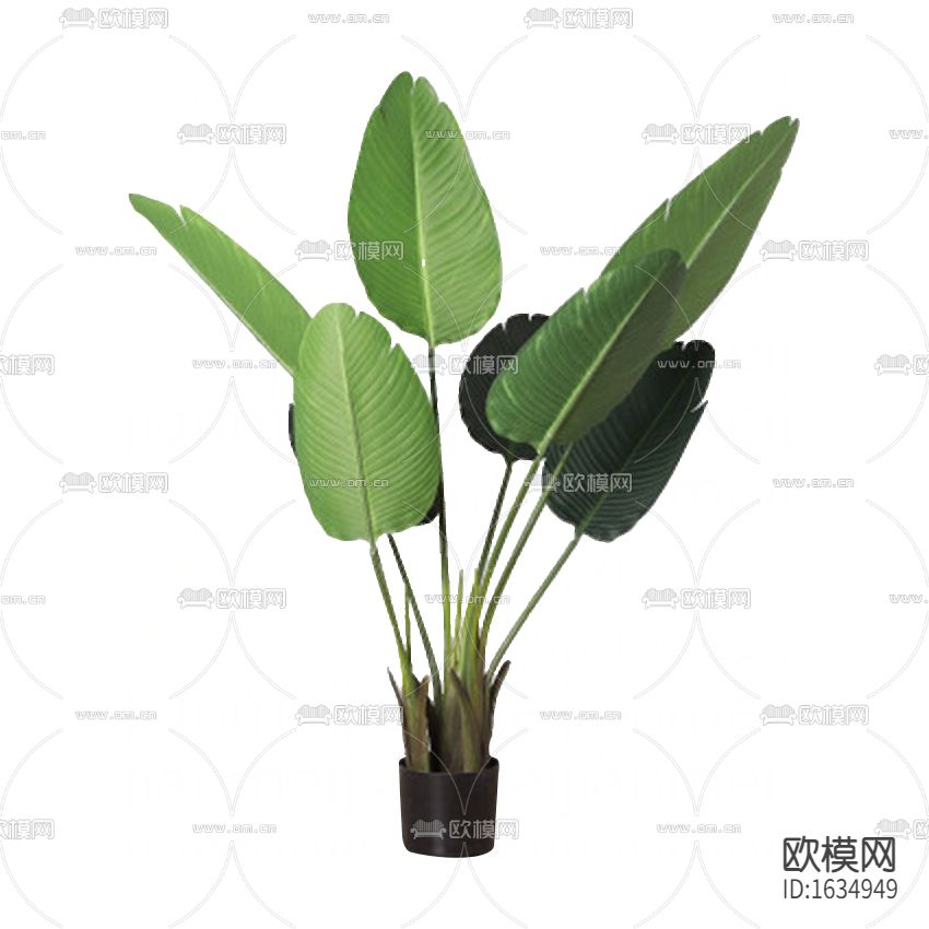 现代绿植盆栽