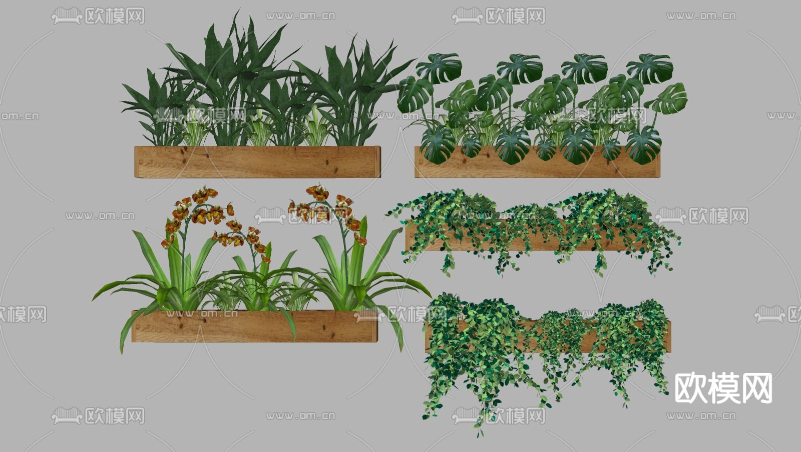 现代绿植墙su模型下载（渲染图2）