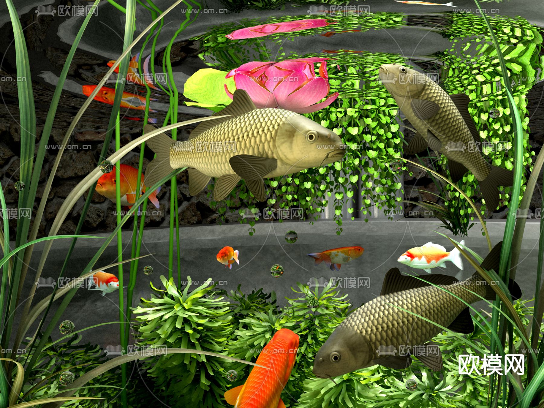 现代鱼缸水池观赏鱼3d模型