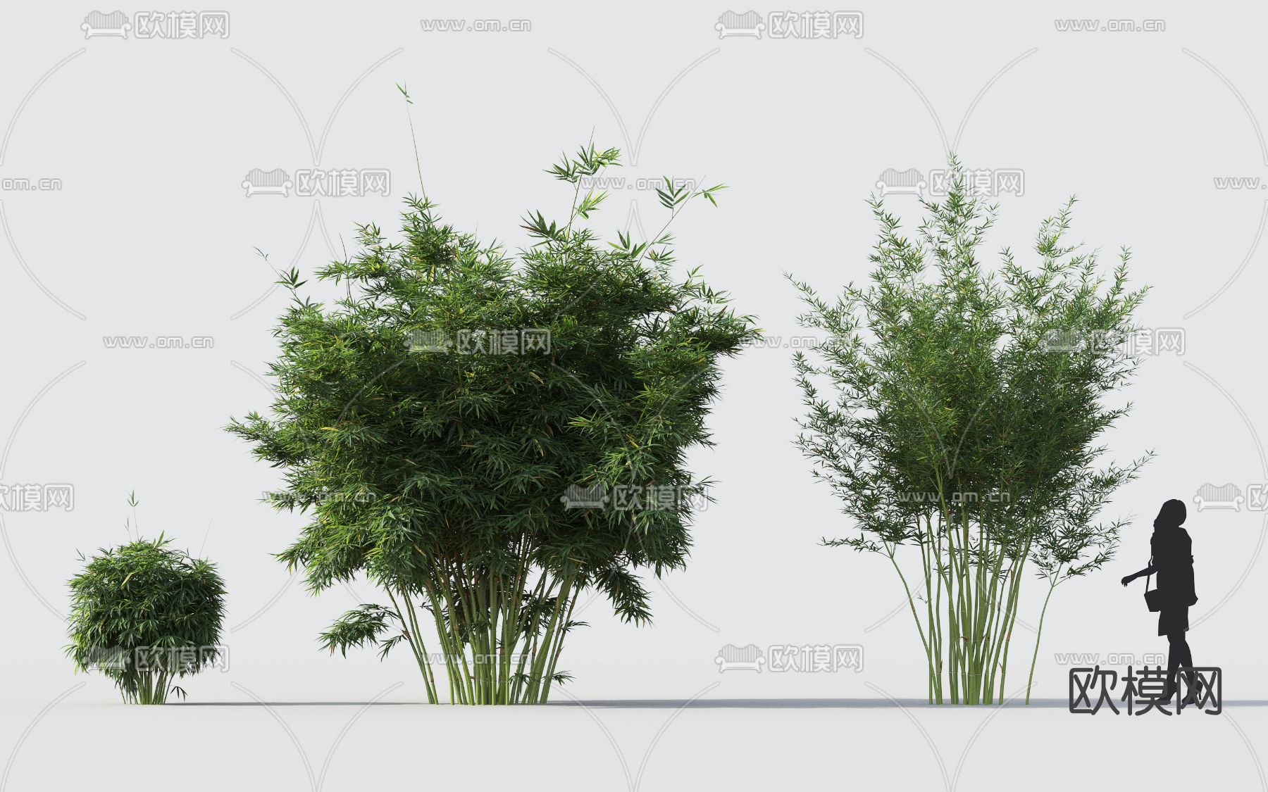 现代竹子3d模型下载