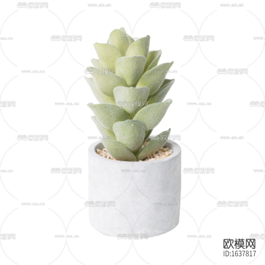 北欧简约多肉绿植