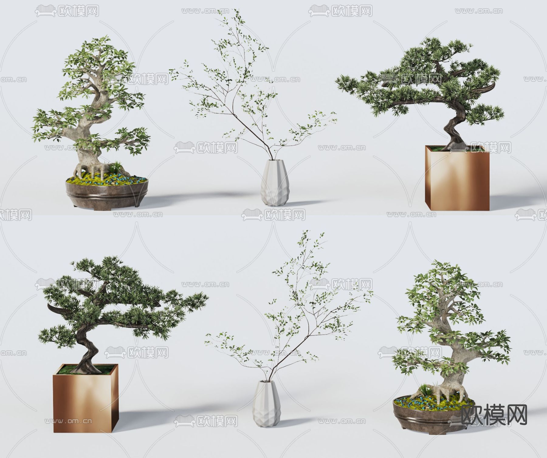 新中式松树盆栽3d模型下载