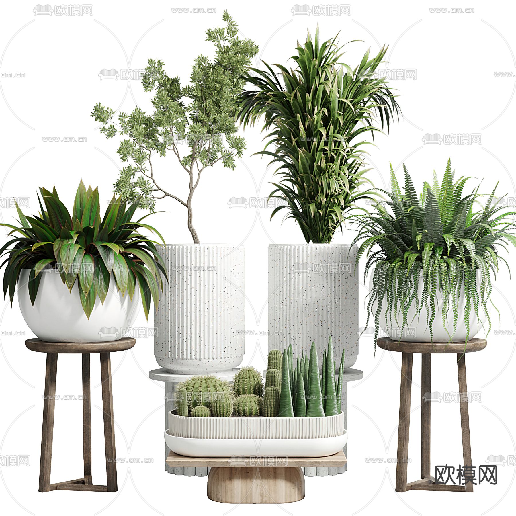 现代绿植盆栽3d模型下载