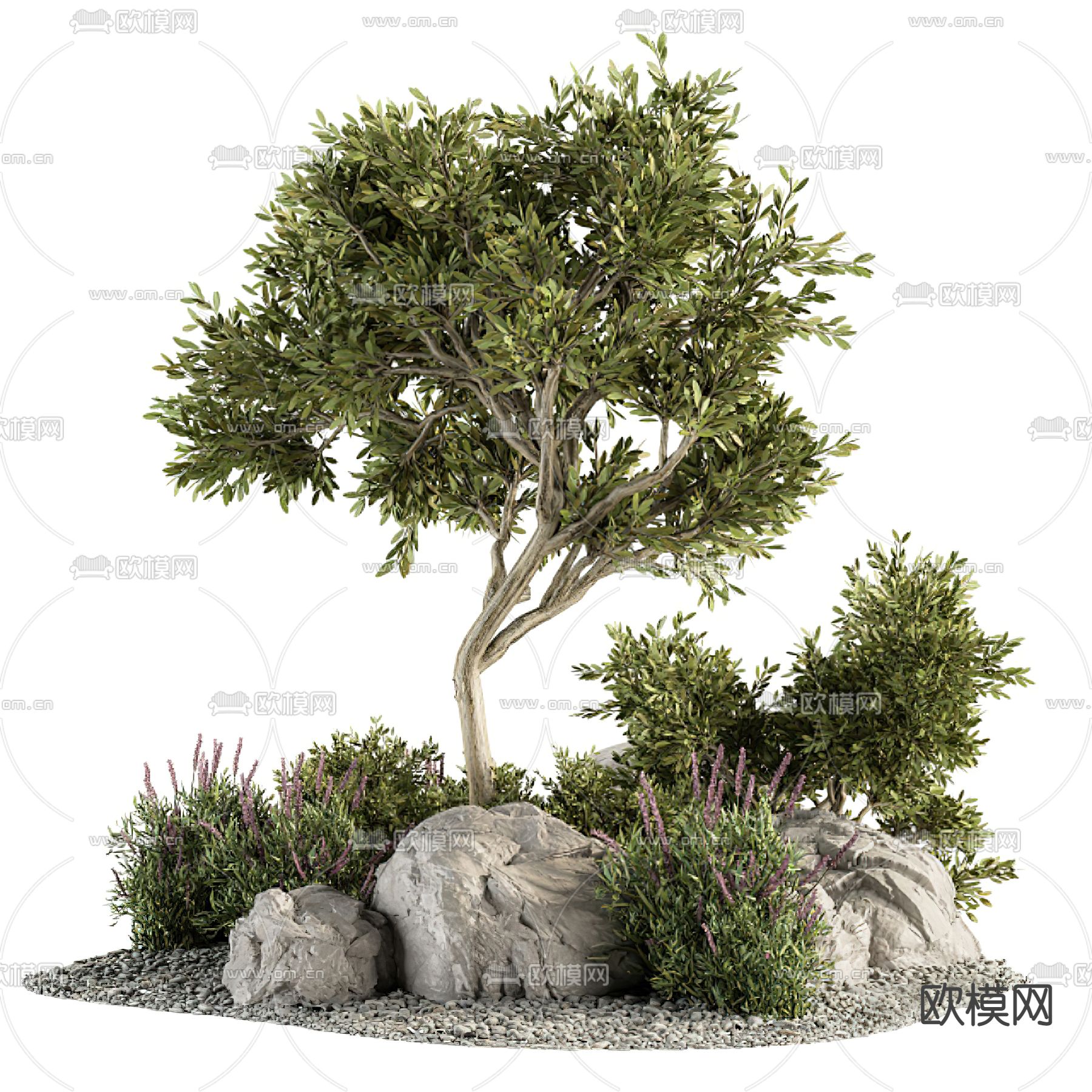 现代树木灌木3d模型