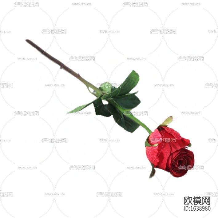 现代简约玫瑰花摆放花艺下载