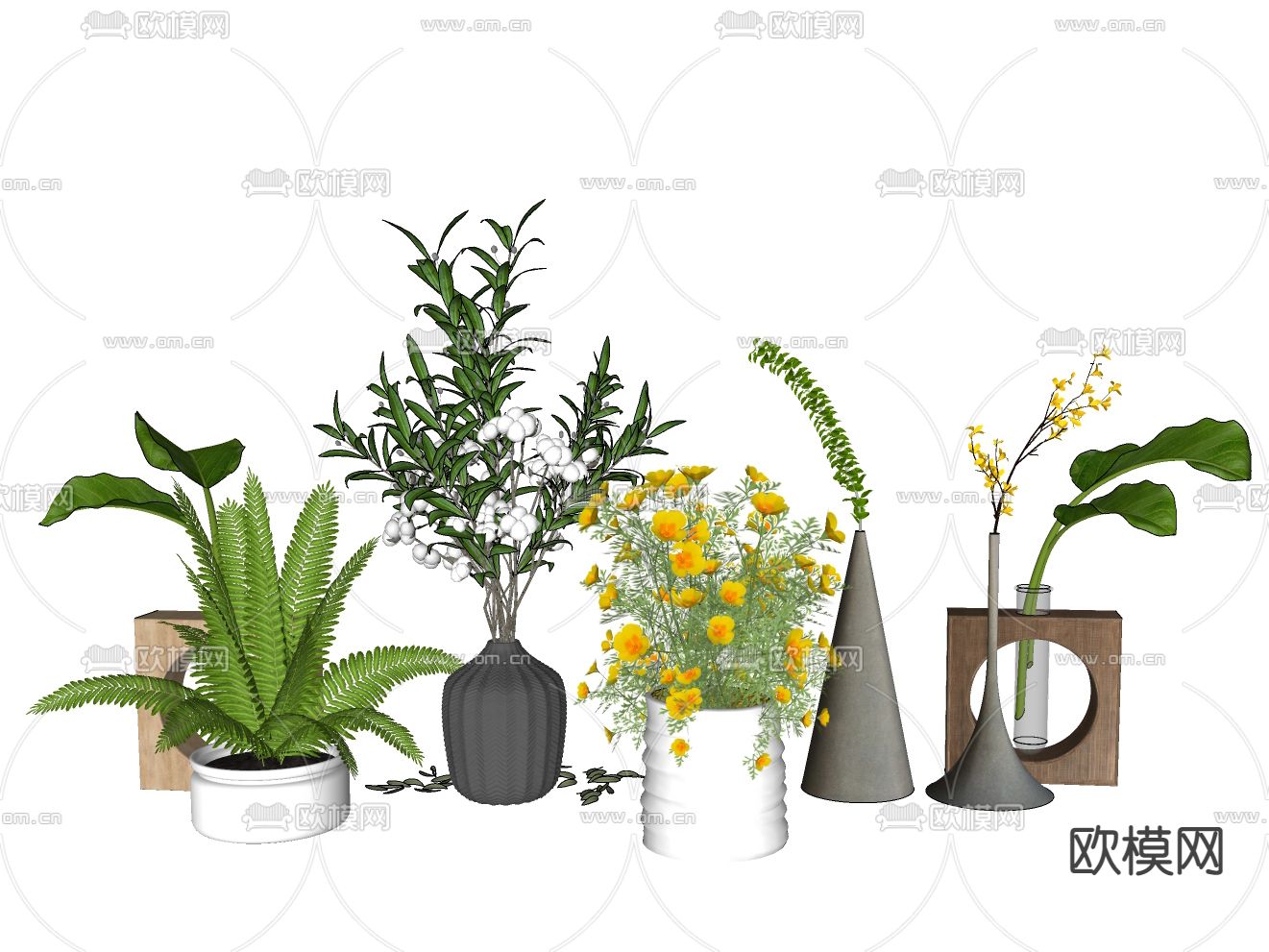 现代植物盆栽su模型下载（渲染图2）