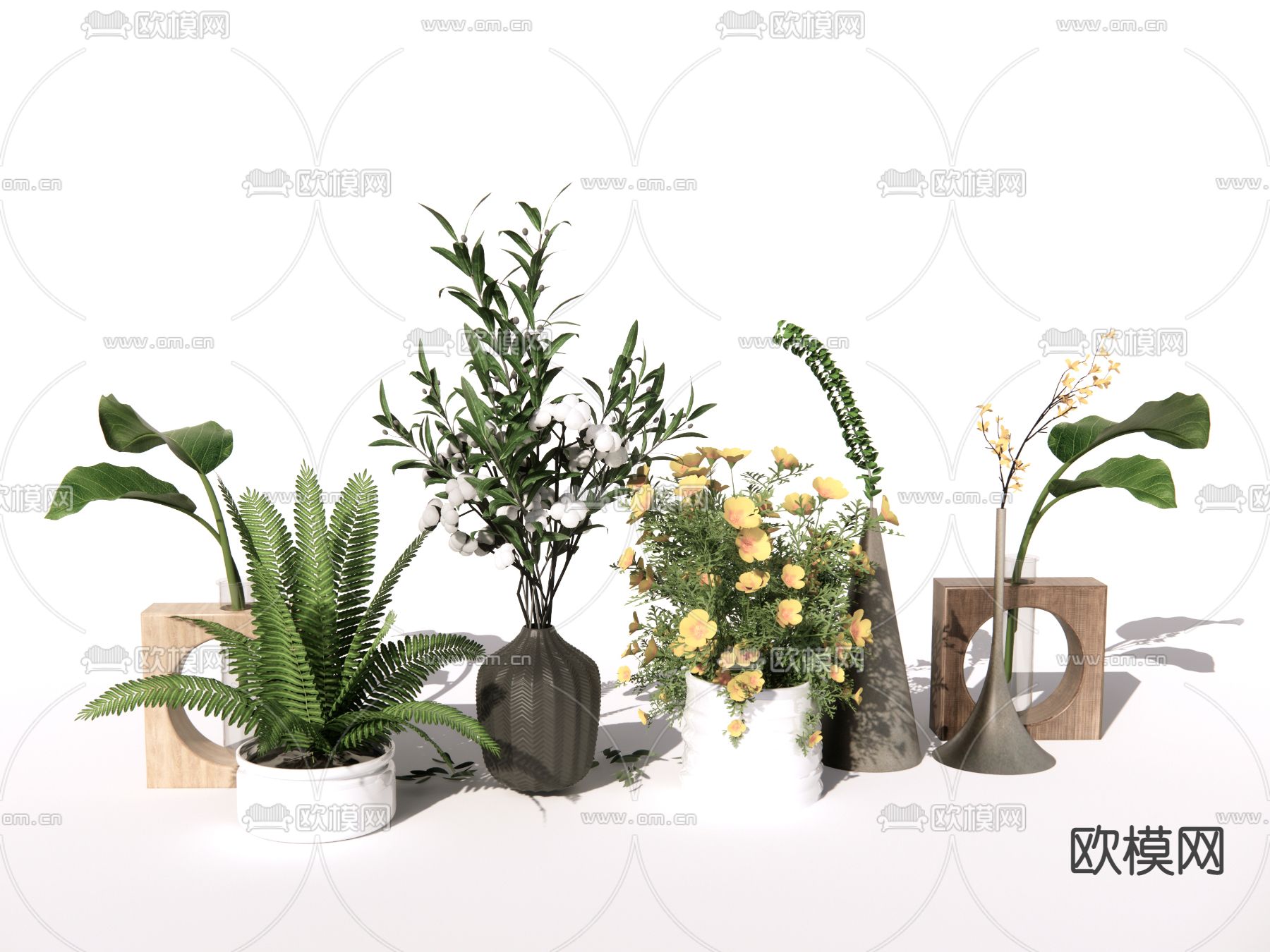 现代植物盆栽su模型下载（渲染图1）