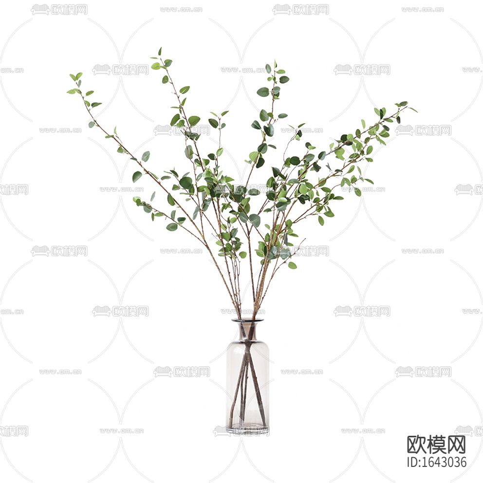 现代简约玻璃花瓶摆放绿植