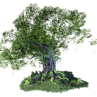  现代参天大树su模型 
