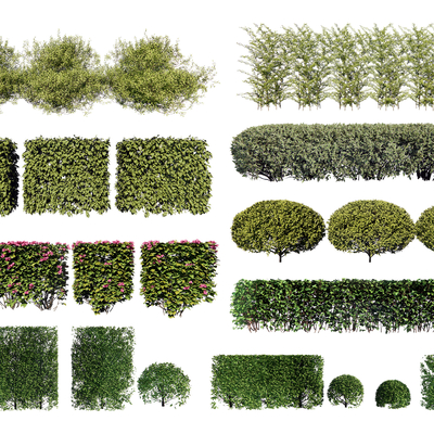  现代灌木球su模型 