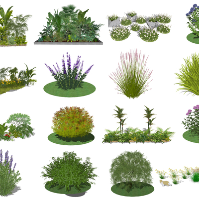  现代灌木丛花草su模型 