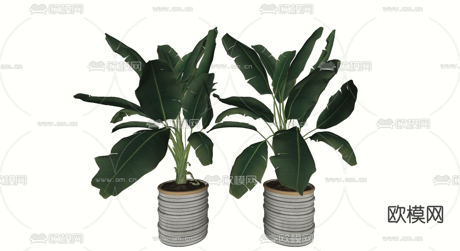 现代绿植盆栽su模型下载（渲染图2）