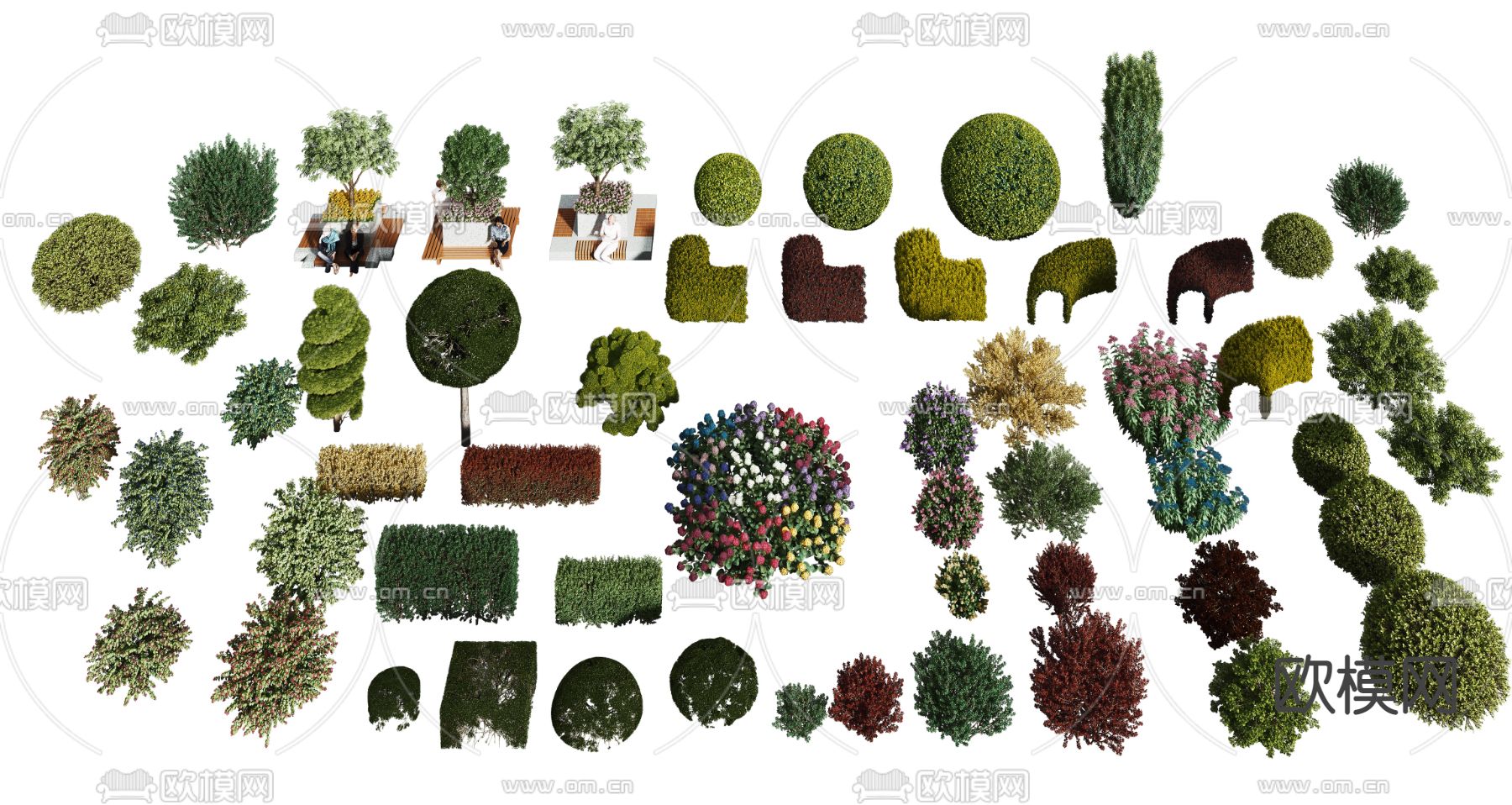 现代植物灌木3d模型