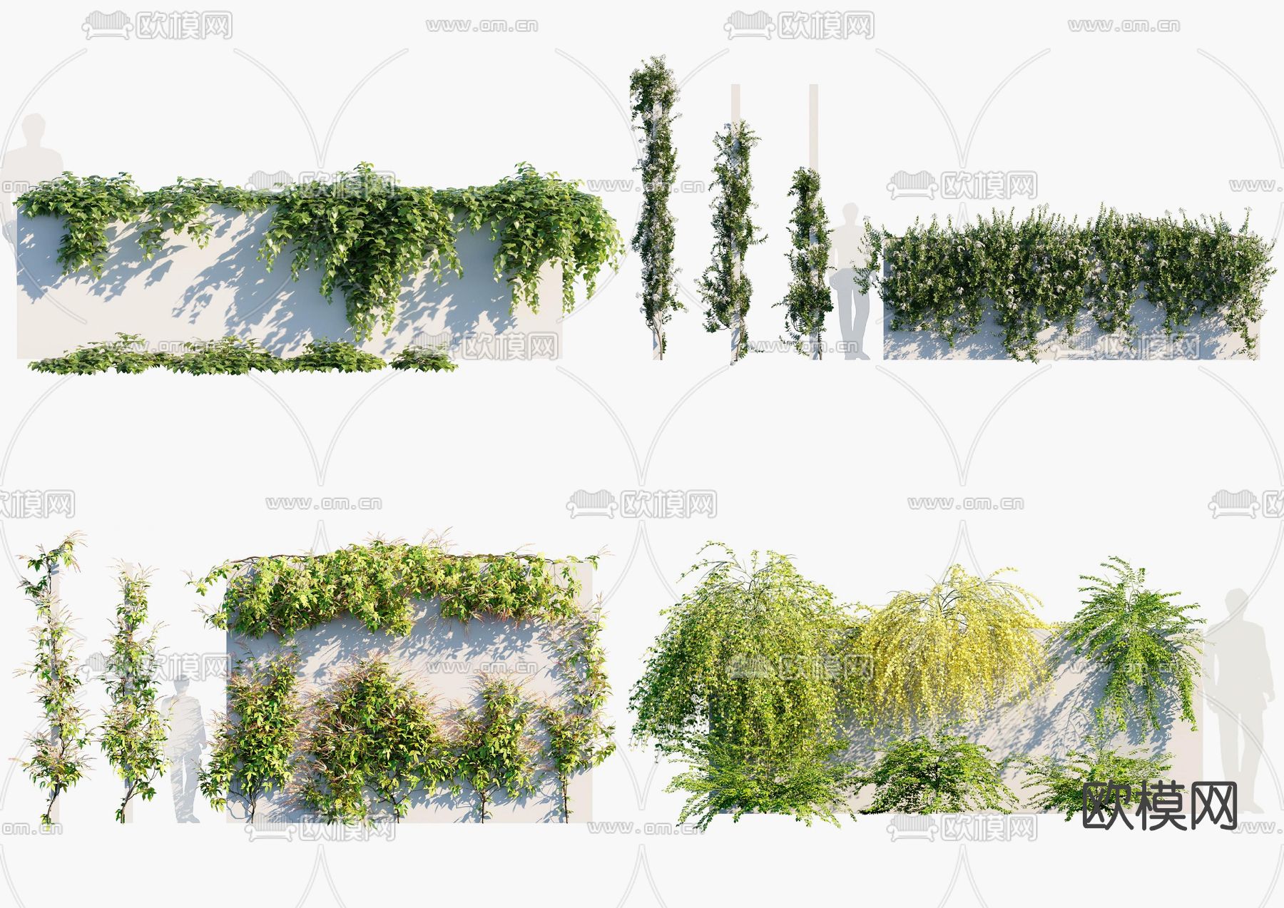 现代绿植藤蔓3d模型下载