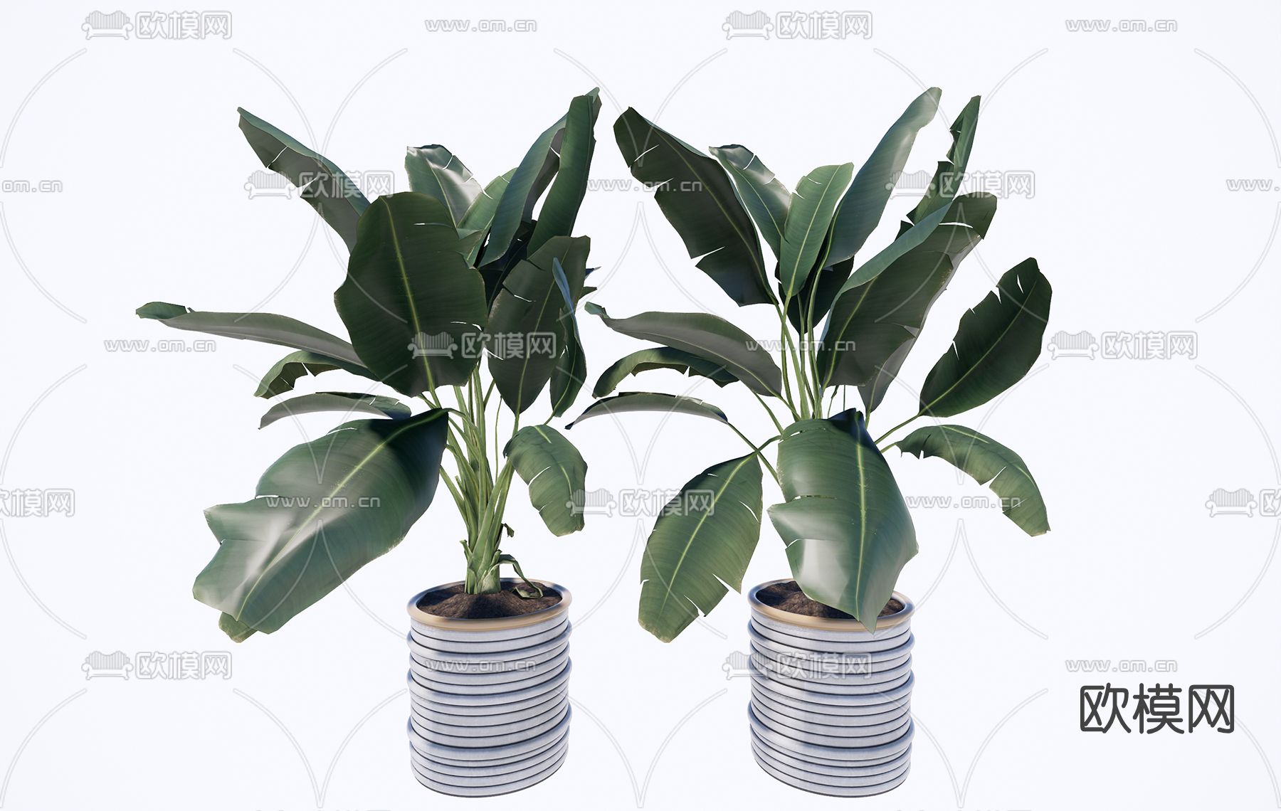 现代绿植盆栽su模型下载（渲染图1）