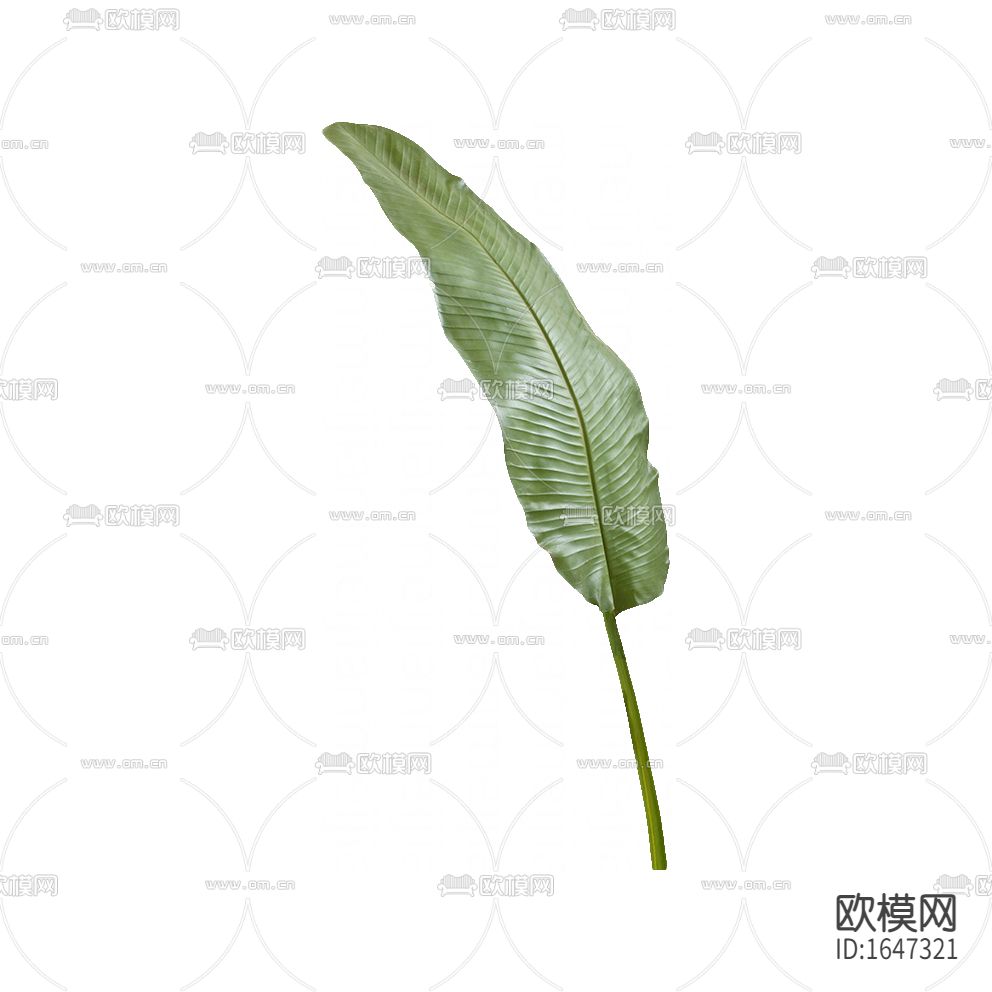 北欧仿真绿植叶子下载