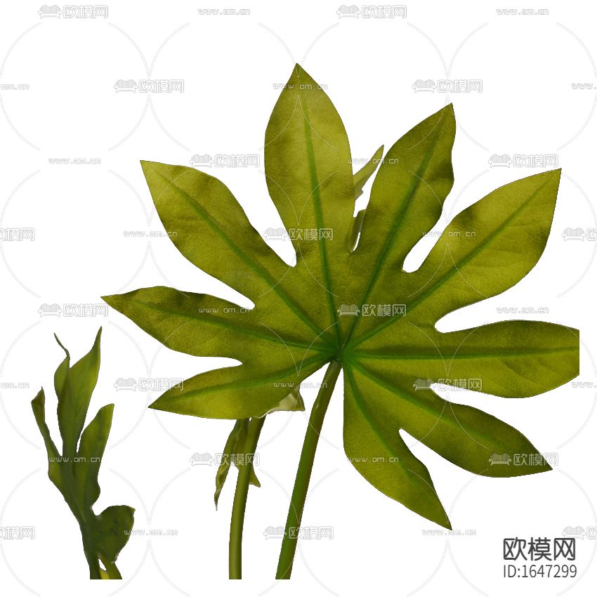 北欧简约仿真八爪金盘绿植下载