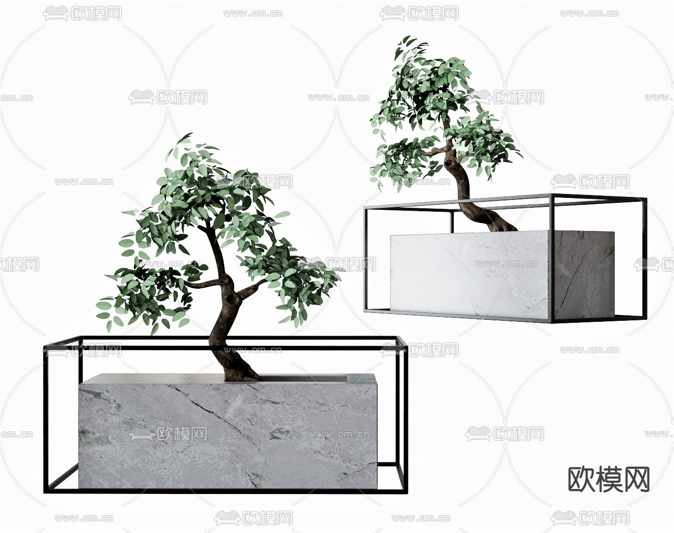 现代植物盆栽su模型下载（渲染图1）