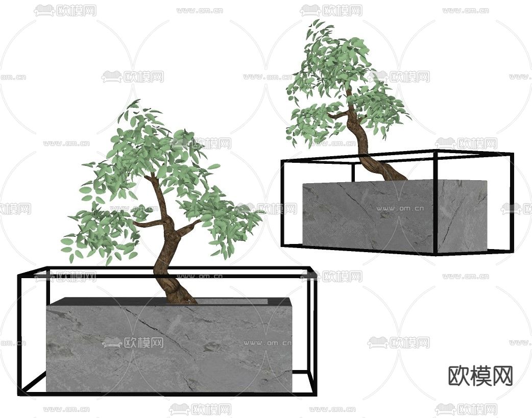 现代植物盆栽su模型下载（渲染图2）