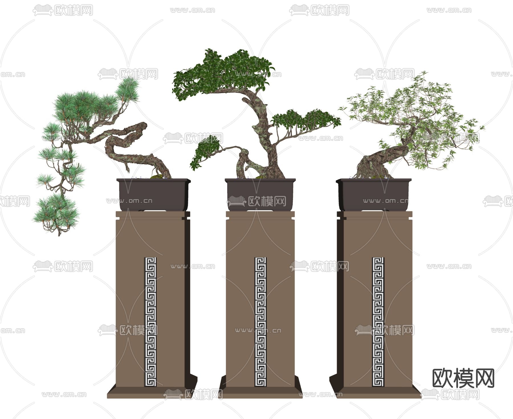 新中式松树盆栽盆景su模型下载