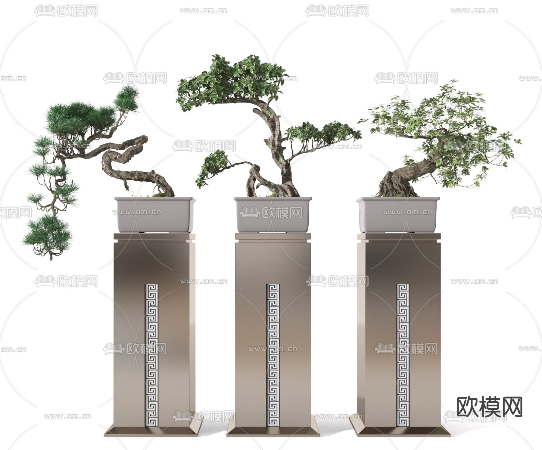 新中式松树盆栽3d模型下载