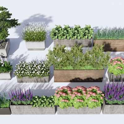  现代植物花草su模型 