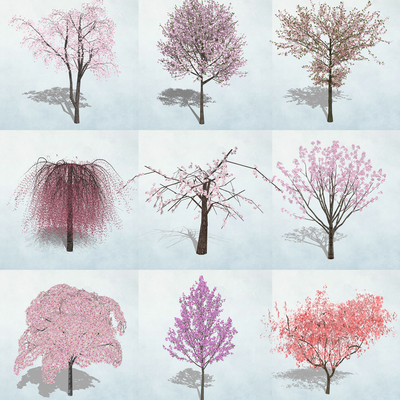  现代乔木灌木su模型 