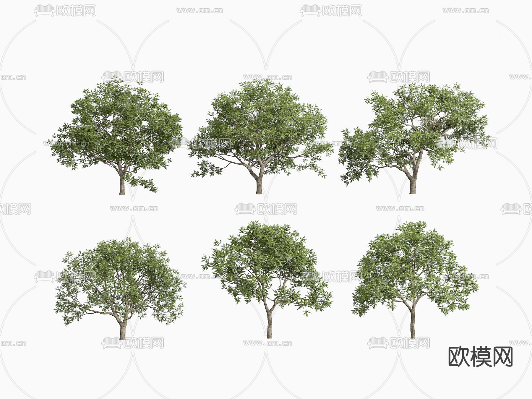 现代植景观树3d模型下载