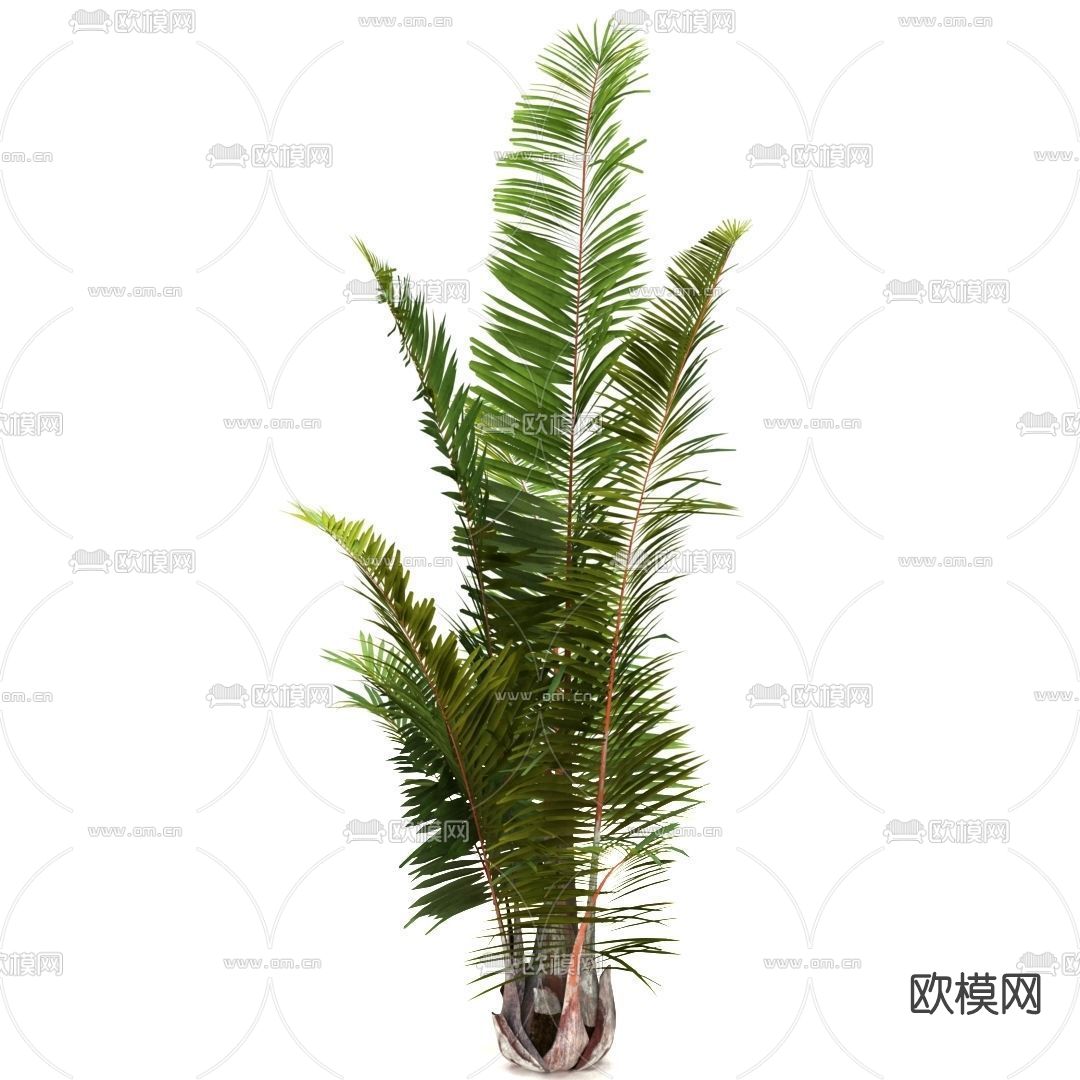 现代绿植灌木免费3d模型下载